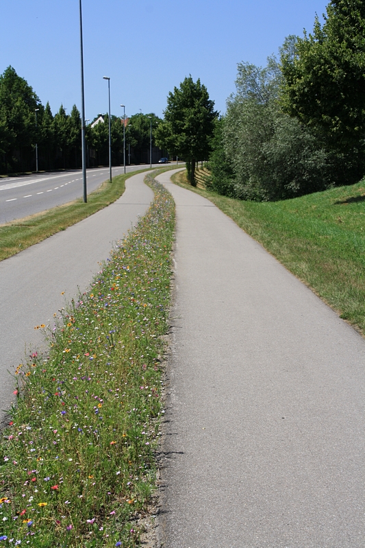 Meersburger Strasse, Ravensburg