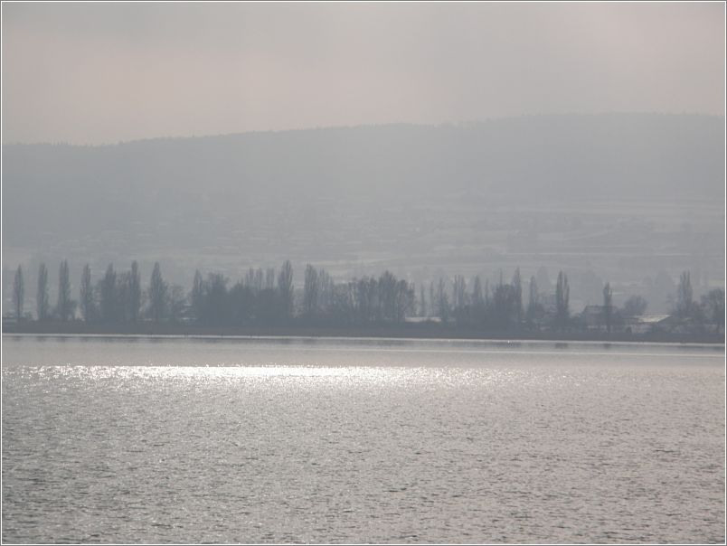 Lichtinsel auf dem See