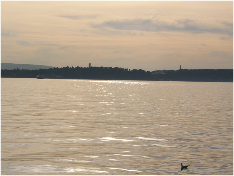 Abendlicht auf dem Wasser