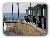 Mwen am Fhrhafen Meersburg