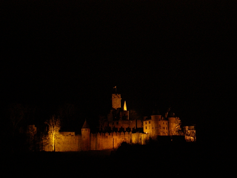 Schloss bei Nacht