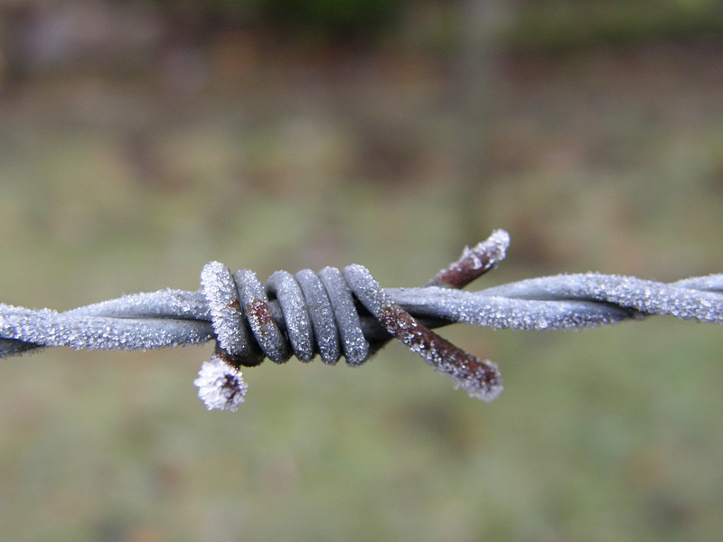 Stacheldraht