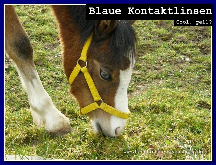 blaue_kontaktlinsen