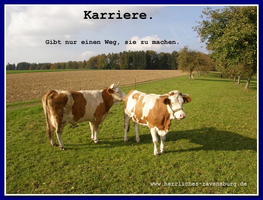 karriere