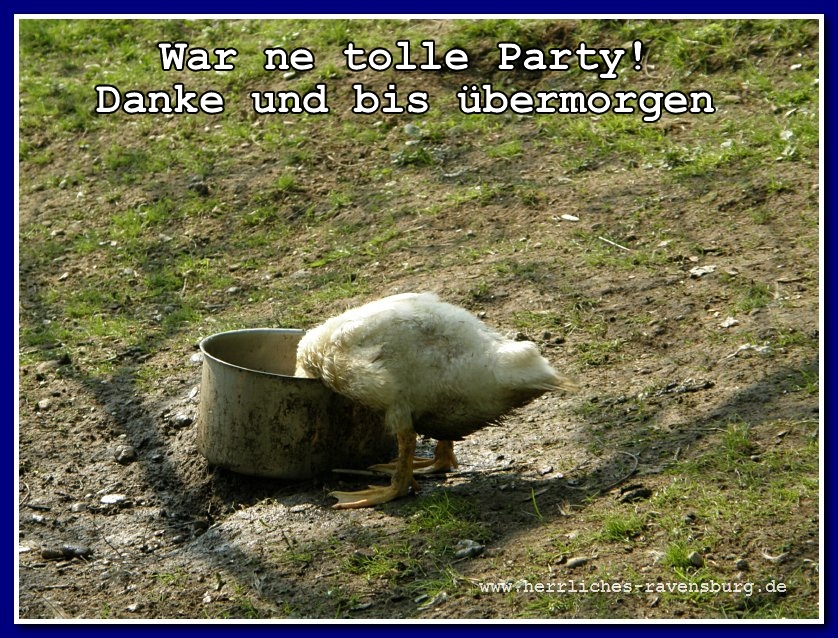 tolle_party