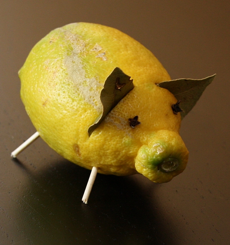 Lemon Piggy