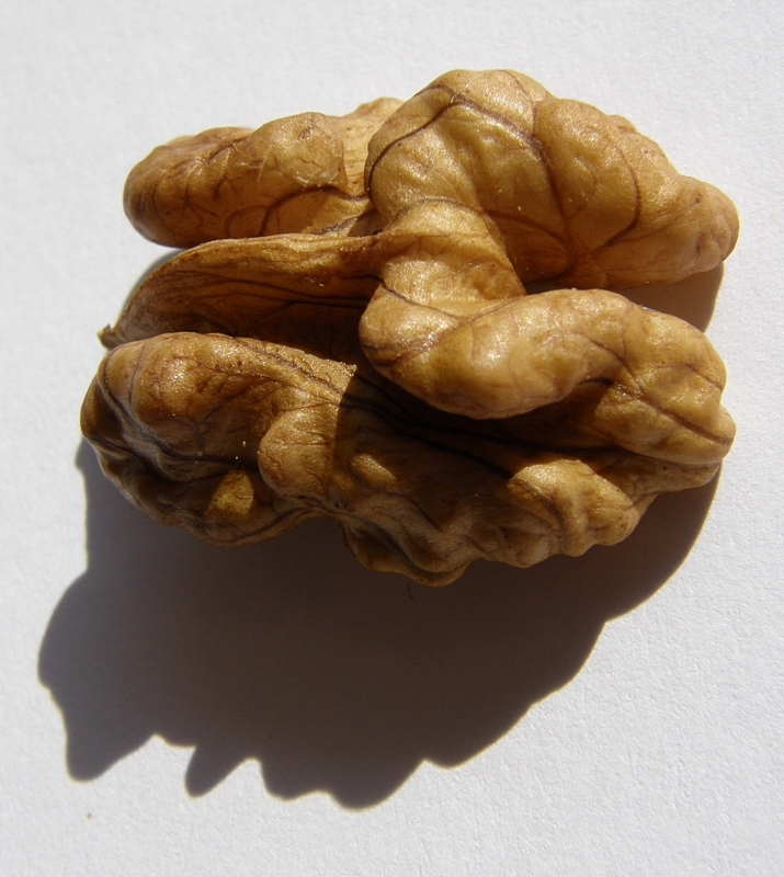 Walnut