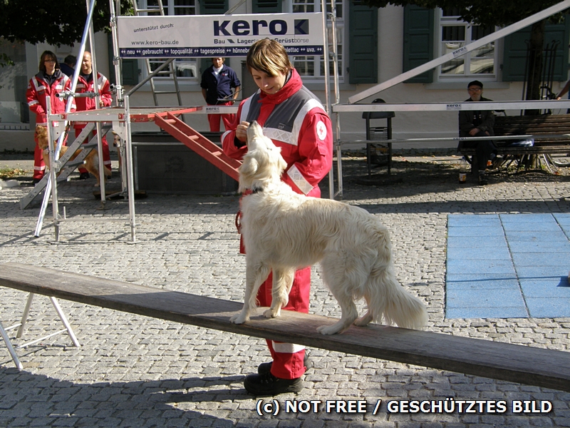 Leckerli fr Helden-Hund