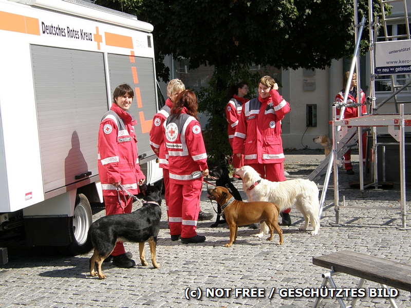 RK-Mitglieder und Hunde