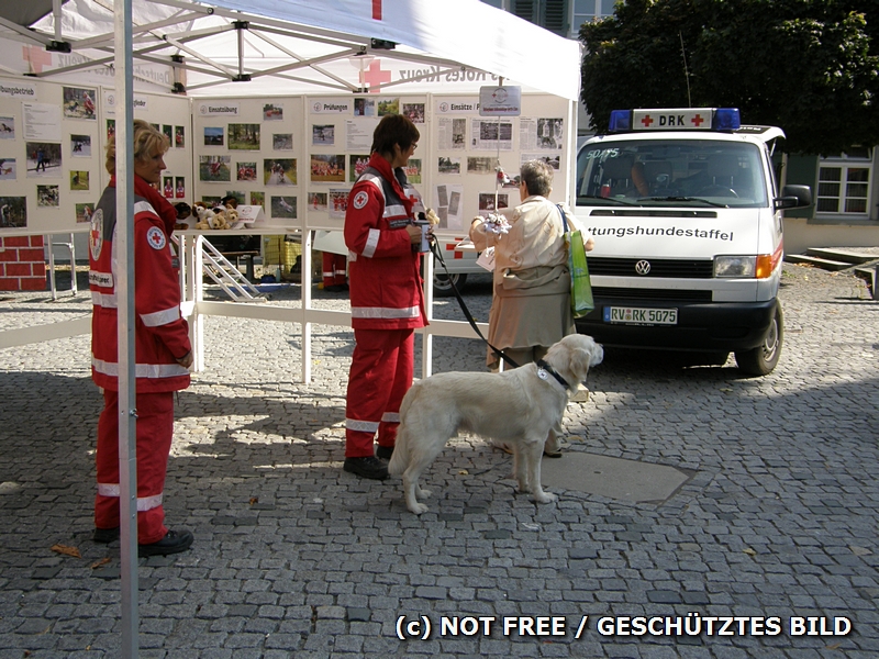 Nach bungsende