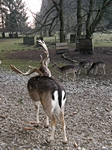 Kratzen und Knabbern