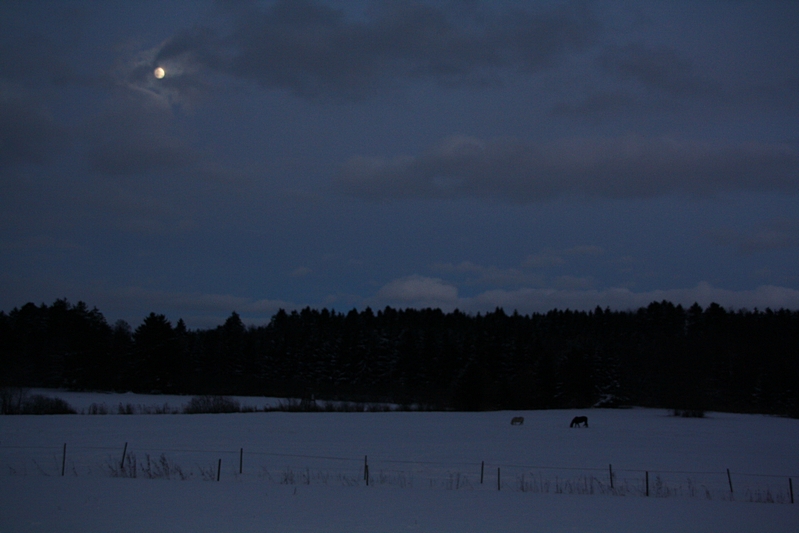 Nachtlandschaft