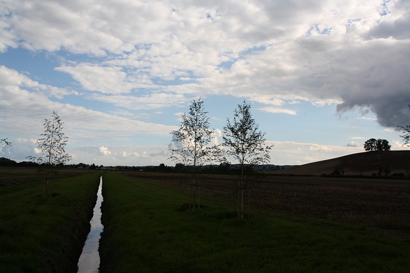 Landschaft bei Salem