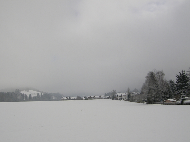 Winterlandschaft (Allgu)