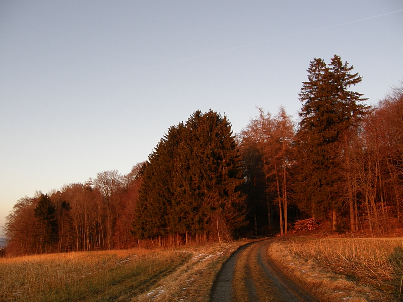 Rotes Licht ber Ravensburg