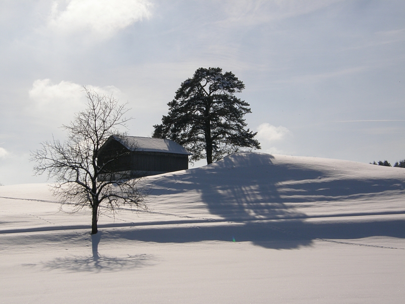 Winterszene