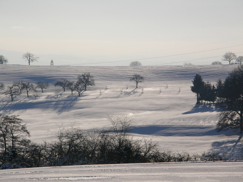 Sonnige Schneelandschaft