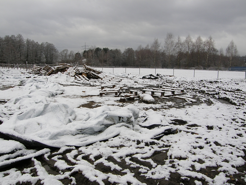 Winter am Hof