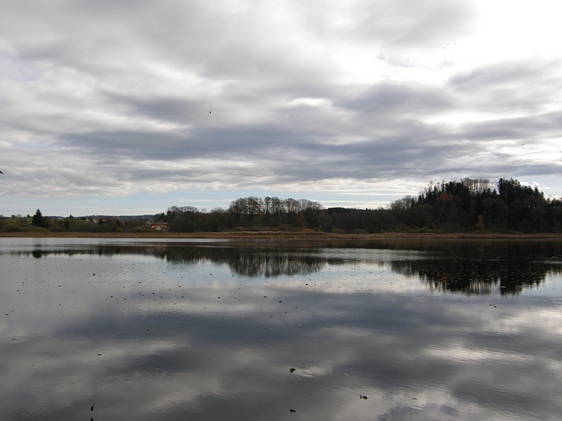 Trbe Wolken am Rssler