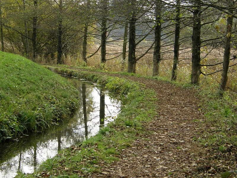 Kanal am Rsslerweiher