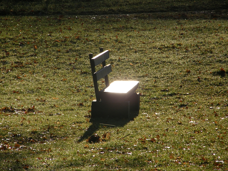 Parkbank mit Sonnenlicht