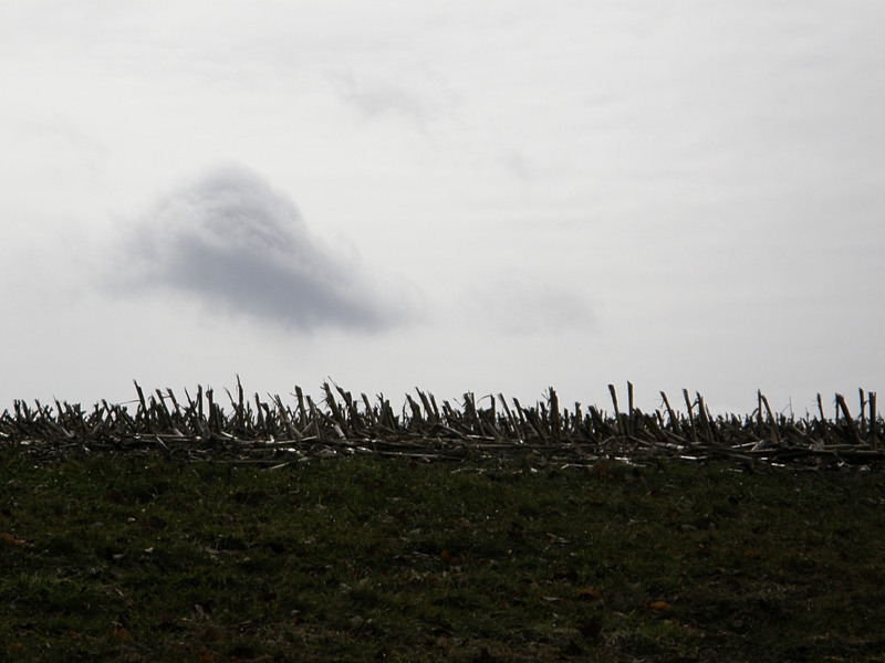 Stoppelfeld mit Wolke