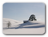 Hgel im Schnee