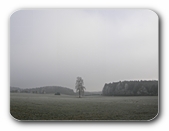 Winterlandschaft mit Reif