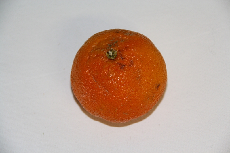 Bio-Mandarine