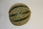 Netzmelone