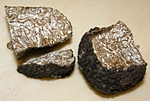 Schwarze Trüffel