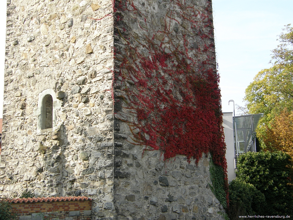 Efeu am Katzlieselturm