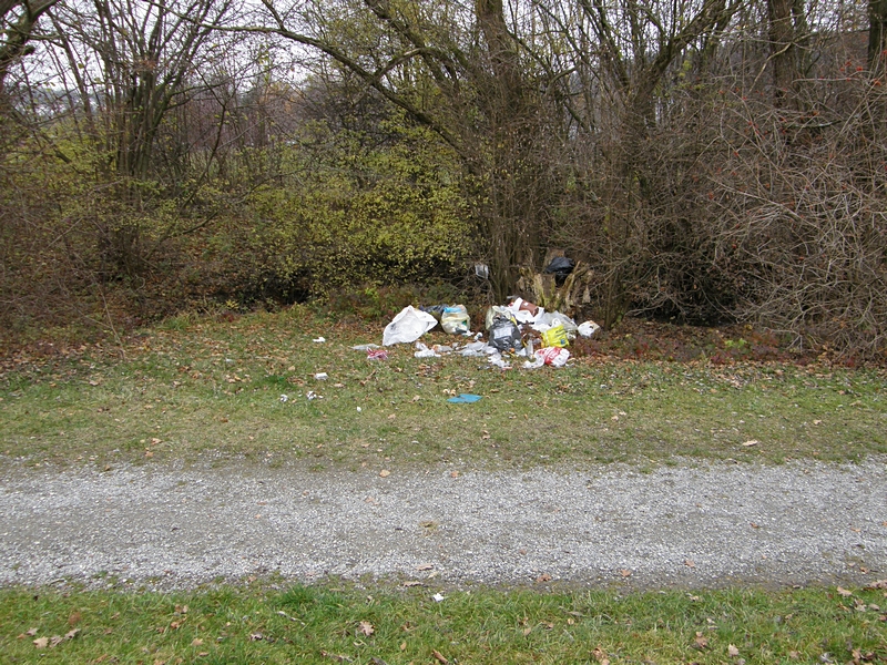 Wilde Mllkippe im Park