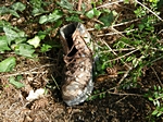 Schuh (!) im Grünen