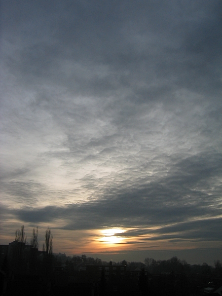 Pappeln und Sonne im Graublau