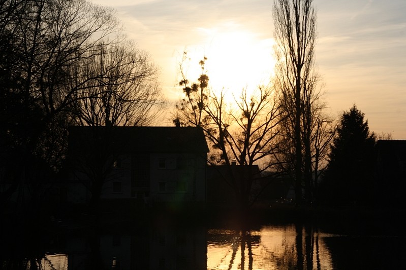 Sonne in Baumkrone