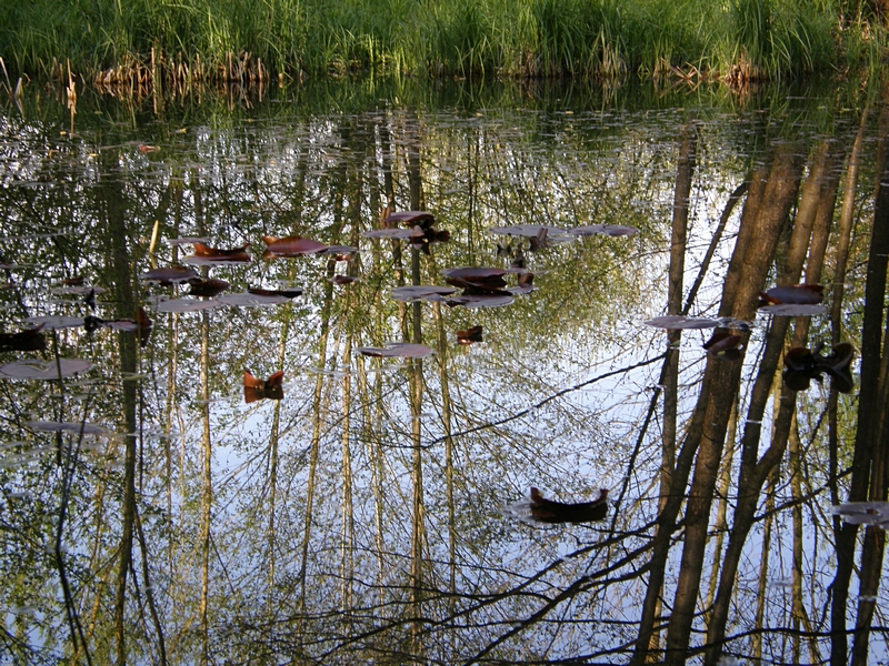 Wasseroberflche