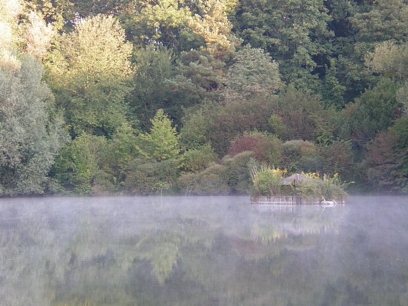 Wrme steigt vom Wasser auf