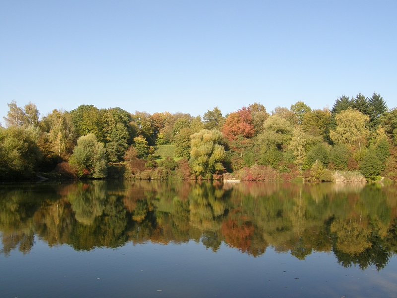 Frhherbst, gespiegelt