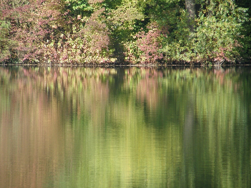 Grn und Rot und Spiegelung