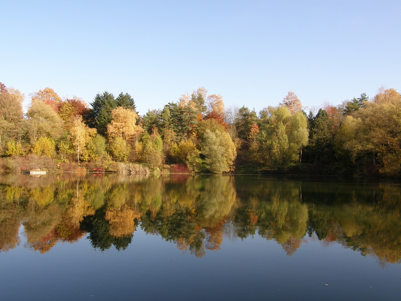 Postkarte vom Teich