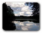 Rsslerweiher, Blick durch die Bume