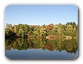 Frühherbst, gespiegelt