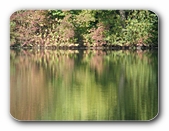 Grün und Rot und Spiegelung
