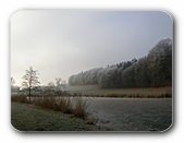 Kalte Weite mit Baum