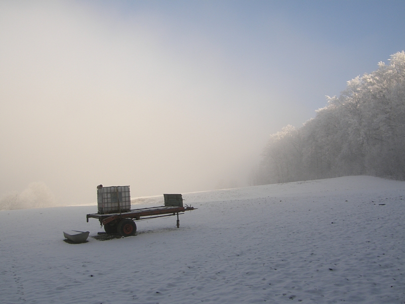 Dunst steigt hoch aus dem Tal