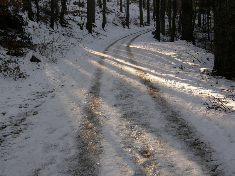 Waldweg mit Lichtstreifen