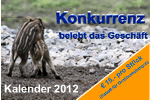 Kalender