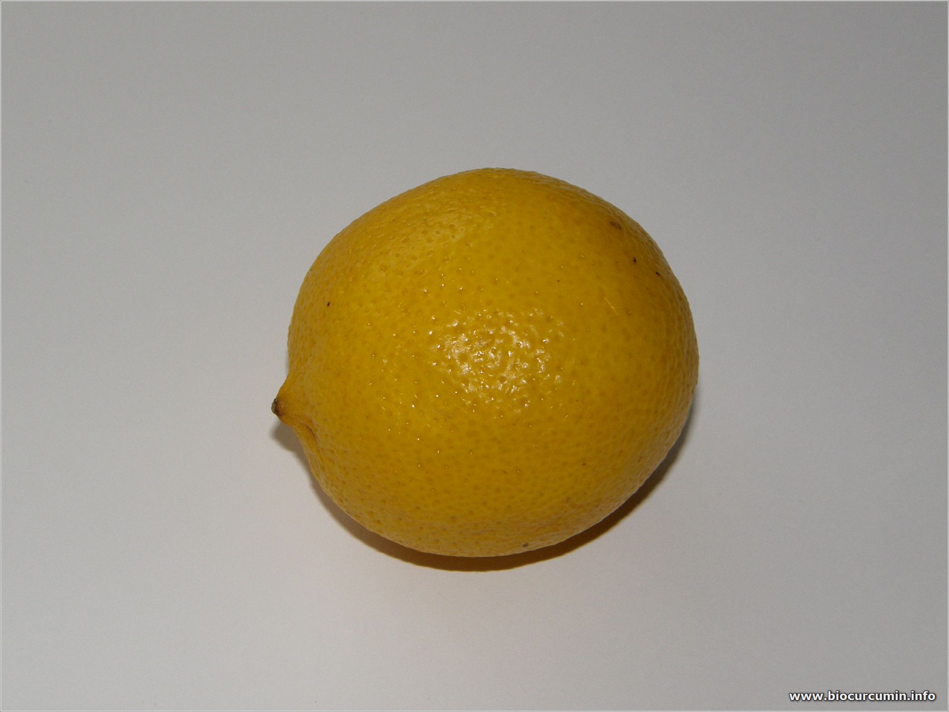 Zitrone
